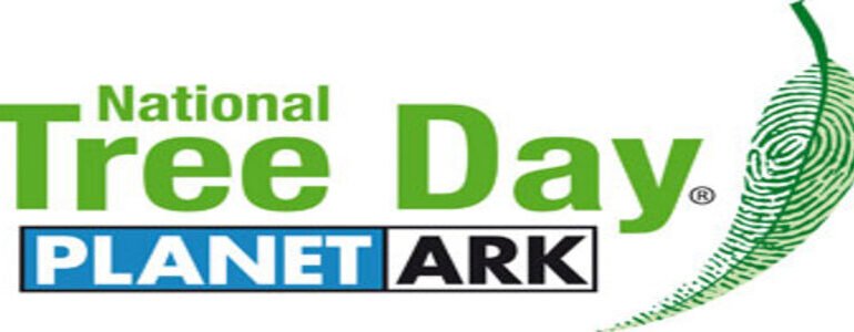National Tree Day: Plant a tree, make a difference!